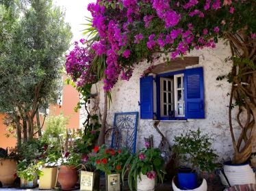 AIR TICKETS PROMOTION! Greece, Rzeszow - Corfu - Rzeszow 23.09.2026-30.09.2026 5946 ₴