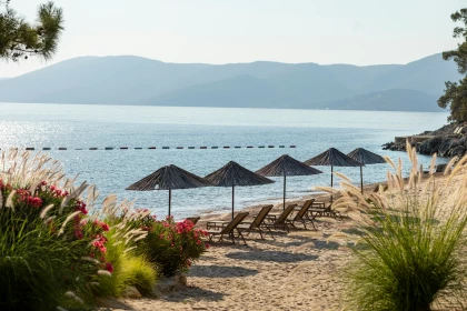 AIR TICKETS PROMOTION! Turkey, Prague - Bodrum - Prague 07.09.2026-14.09.2026 18726 ₴