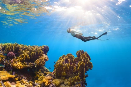 AIR TICKETS PROMOTION! Egypt, Sharm El Sheikh - Chisinau 17.09.2026 3646 ₴