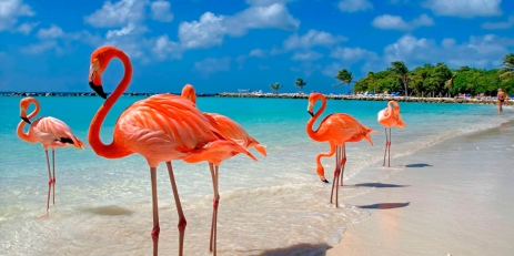 АВИАБИЛЕТЫ! АКЦИЯ! Доминиканская республика, Пунта-Кана - Варшава 22.11.2025 24612 ₴