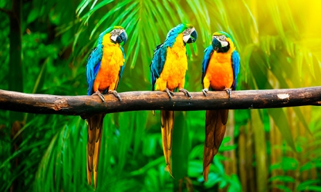 АВІАКВИТКИ! АКЦІЯ! Домініканська республіка, Варшава - Пунта-Кана - <br>Варшава 27.12.2025-10.01.2026 69585 ₴