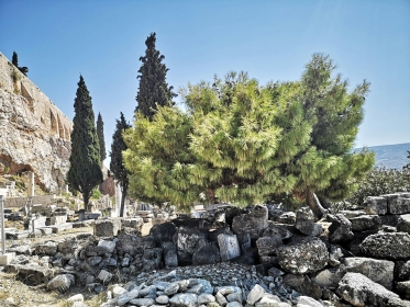 АВИАБИЛЕТЫ! АКЦИЯ! Греция, Катовице - о.Самос - <br>Катовице 11.07.2026-18.07.2026 22720 ₴