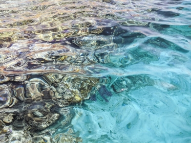 АВИАБИЛЕТЫ! АКЦИЯ! Египет, Кишинев - Шарм-Эль-Шейх - <br>Кишинев 03.03.2026-13.03.2026 13838 ₴