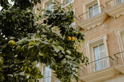 АВИАБИЛЕТЫ! АКЦИЯ! Испания, Бухарест - Малага - Бухарест 12.04.2026-19.04.2026 17357 ₴